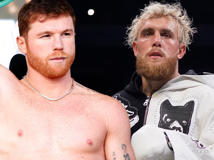 canelo vs jake paul