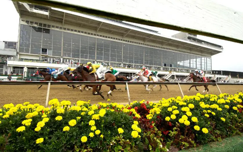 horse-Race-Course