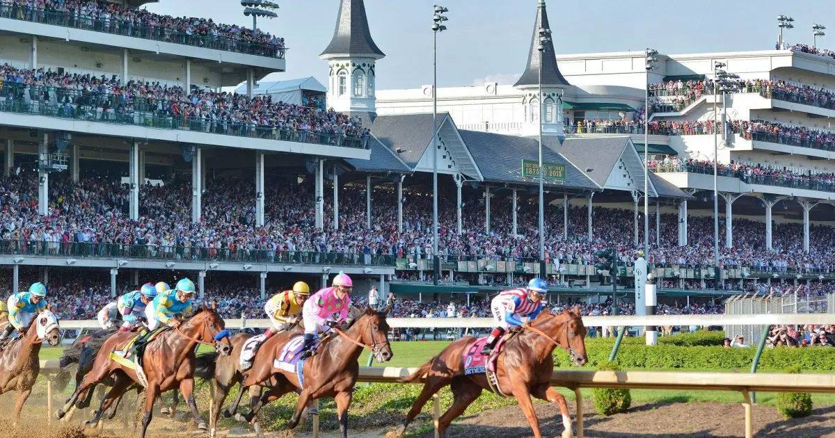 kentucky derby horses