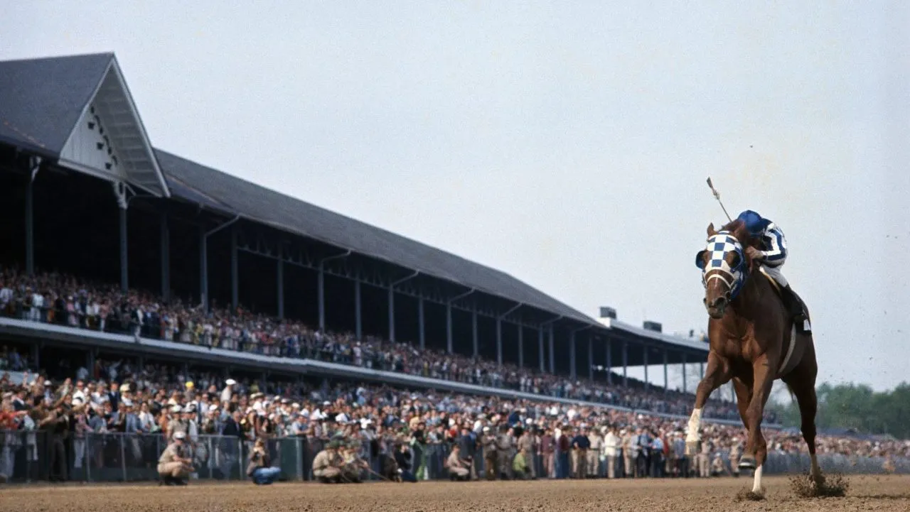 kentucky horses