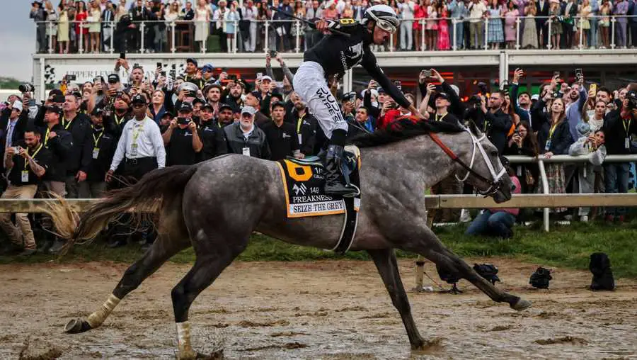 preakness race